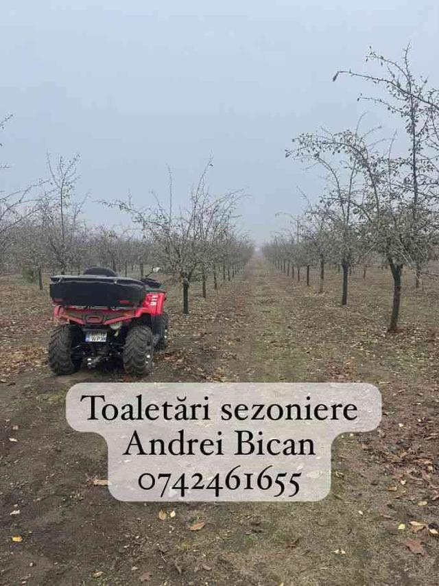 Imagine Indisponibilă