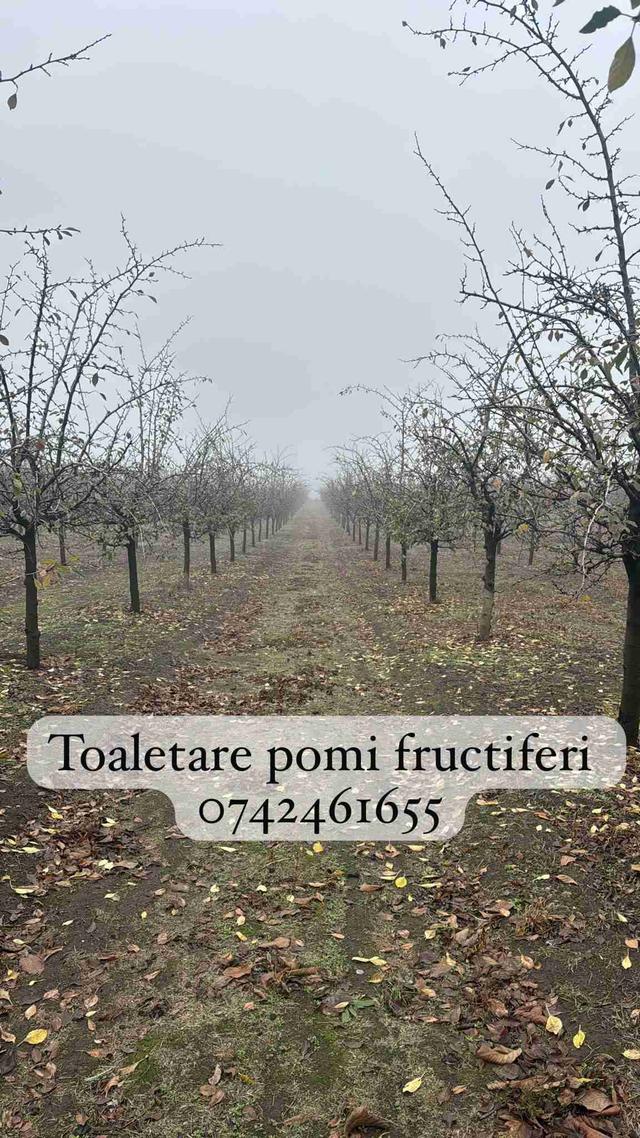 Imagine Indisponibilă