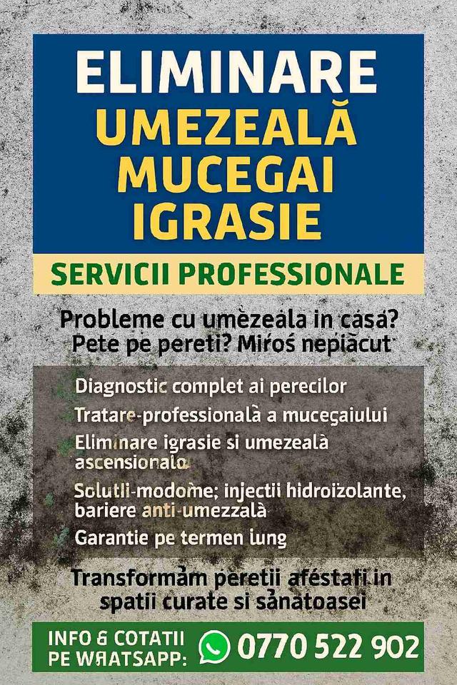 Imagine Indisponibilă