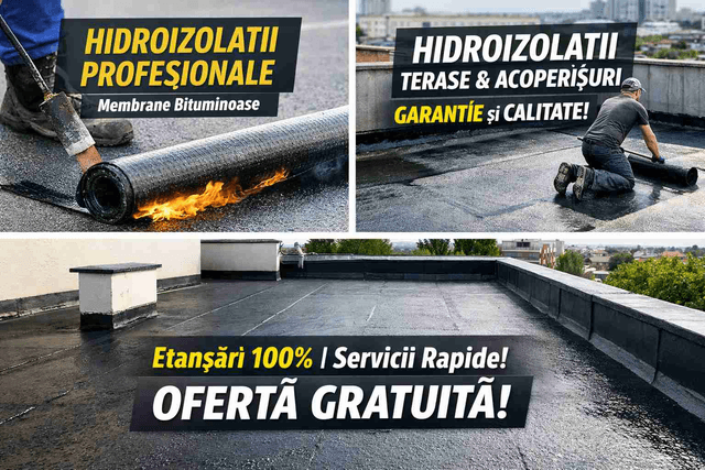 Imagine Indisponibilă