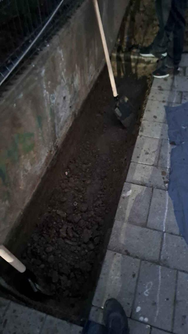 Imagine Indisponibilă