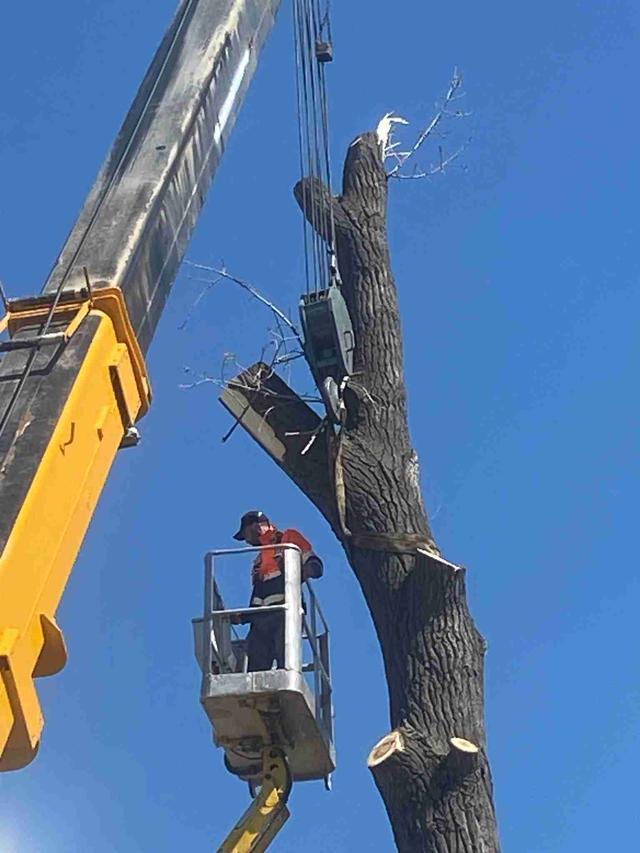 Imagine Indisponibilă