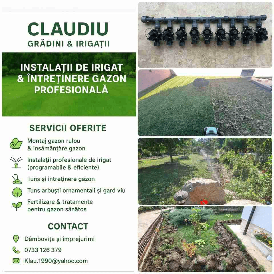 Amenajări Complete de Grădină – Gazon, Irigații, Întreținere (5/5)