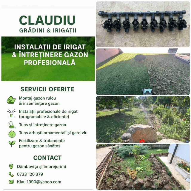 Imagine Indisponibilă