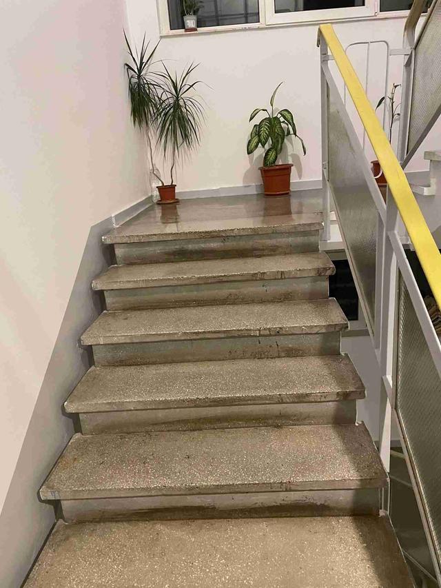 Imagine Indisponibilă