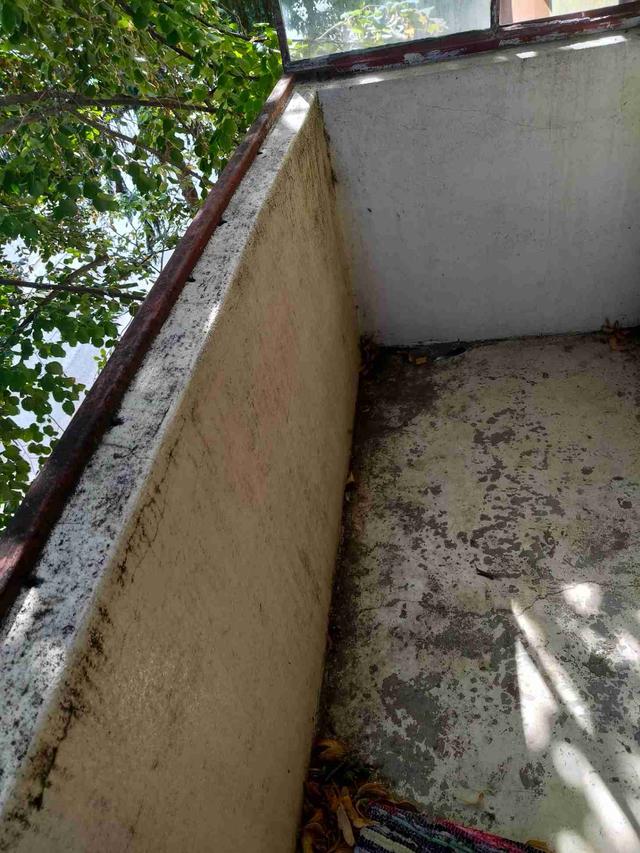 Imagine Indisponibilă