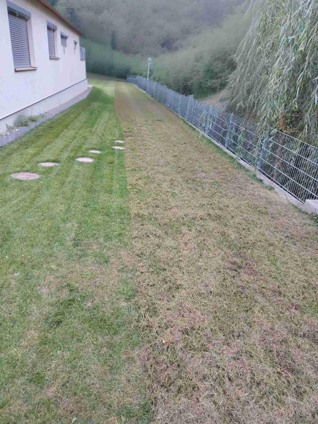 Imagine Indisponibilă