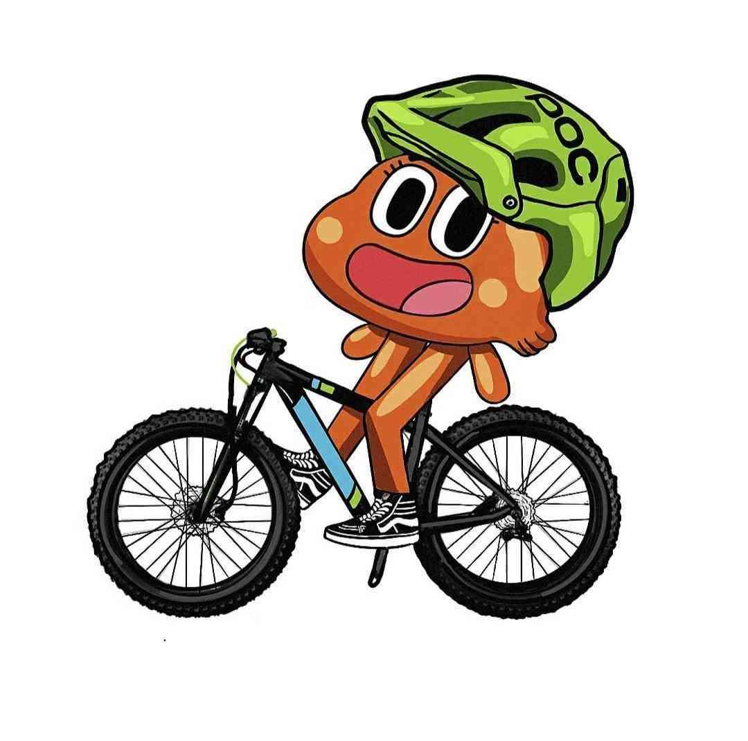 Fishubikes service de biciclete la domiciliu