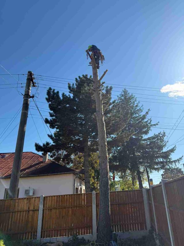 Imagine Indisponibilă