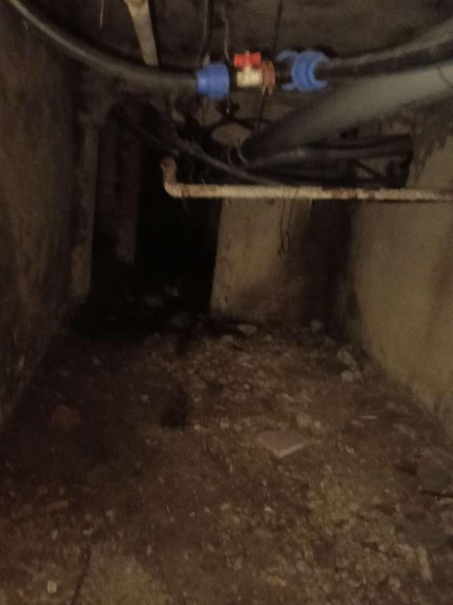 Imagine Indisponibilă