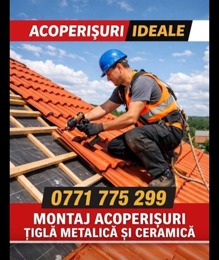 Oferim servicii de dulgherie (3/3)
