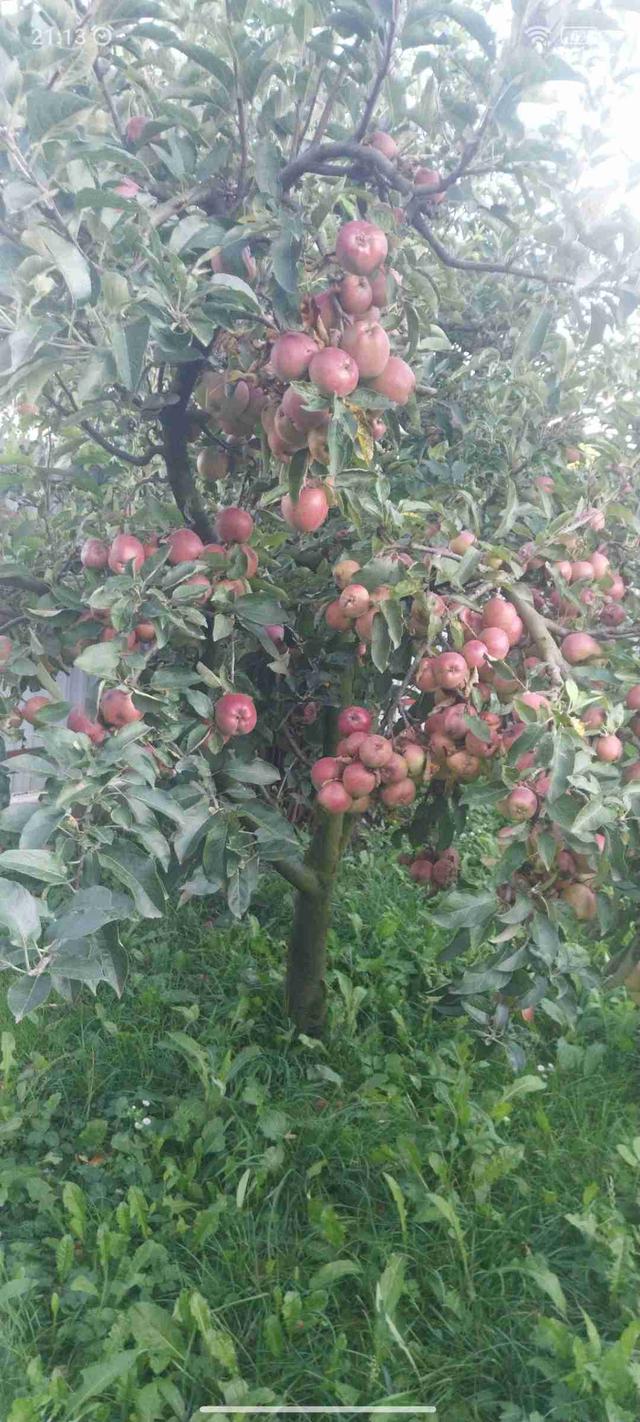 Imagine Indisponibilă