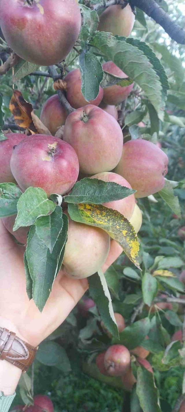 Imagine Indisponibilă