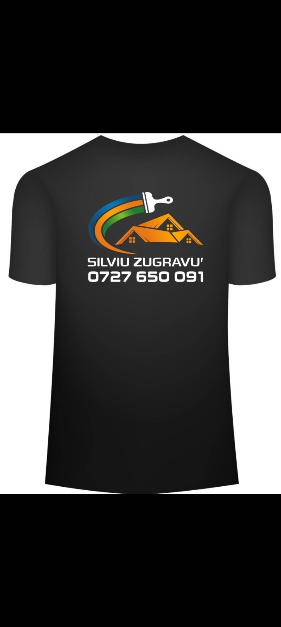 Virgil silviu Paraschiv