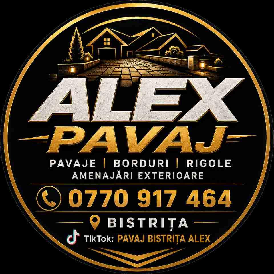 Pavaje Bistrița Constantin Alex